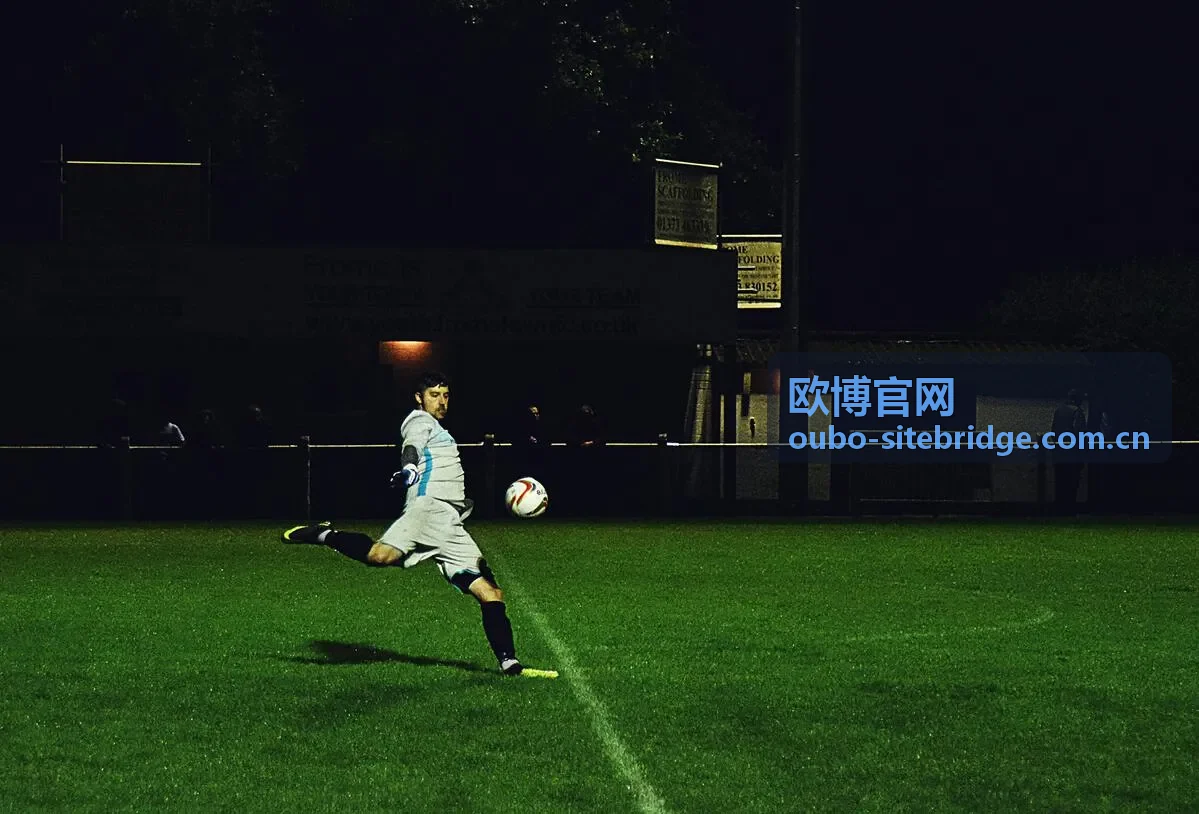 欧博官网平台服务体系与资源调度示意